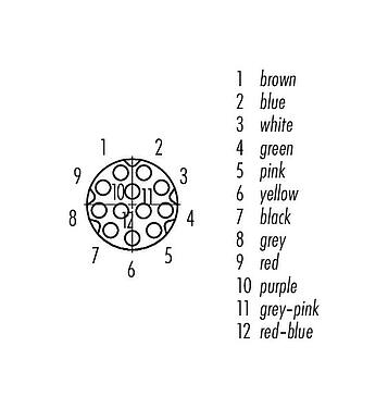 Contact arrangement (Plug-in side) M8 Female cable connector, Contacts: 12, unshielded, moulded on the cable, IP67/IP69K, UL 2238, PUR, black, 12 x 0.09 mm², 5 m