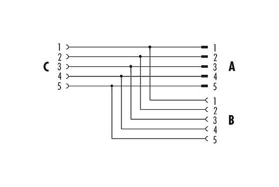 Pin assignment plans M12 Twin distributors, T-distributor, male connector - 2 female connector, Contacts: 5, unshielded, pluggable, IP68, UL 2238
