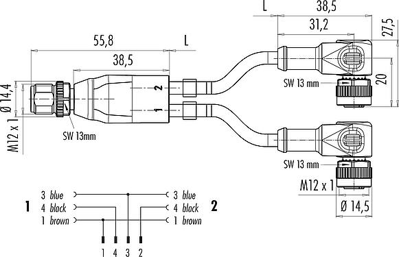 Dessin coté M12 Connecteur répartiteur de câbles - 2 connecteur d‘angle femelle, Contacts: 4/3, non blindé, surmoulé sur le câble, IP68, UL 2238, PUR, noir, 3 x 0,34 mm², 2 m