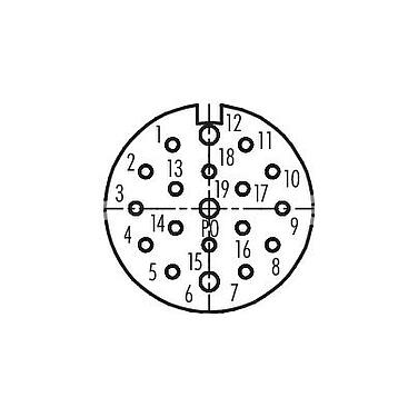 Contact arrangement (Plug-in side) M23 Female cable connector, Contacts: 19, 6.0-10.0 mm, unshielded, solder, IP67