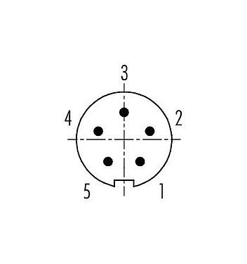Disposition des contacts (Côté plug-in) 99 0995 100 05 - Baïonnette Connecteur mâle, Contacts: 5, 3,0-4,0 mm, non blindé, souder, IP40