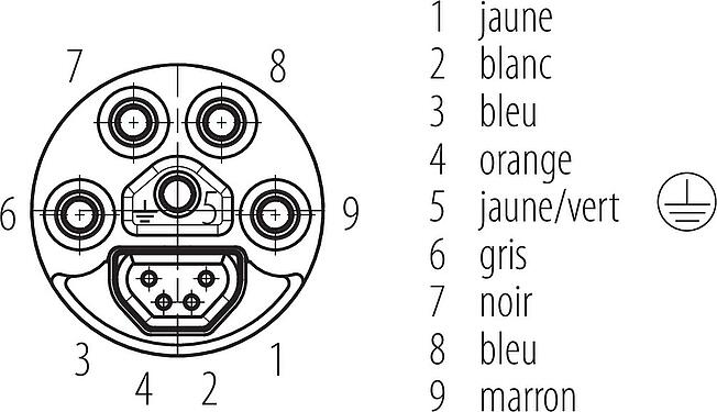 Disposition des contacts (Côté plug-in) B23 Connecteur femelle, Contacts: 9 (4+PE + 4), 8.0-17.0 mm, pince à visser, IP67, ENP : Broche d'alimentation / Prise de données