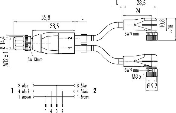 Scale drawing M12/M8 Male cable splitter - 2 female angled connector, Contacts: 4/3, unshielded, moulded on the cable, IP67, UL 2238, PUR, black, 3 x 0.34 mm², 1 m