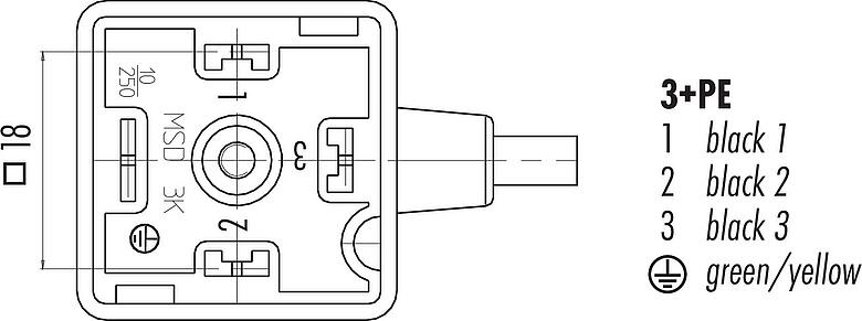 Disposition des contacts (Côté plug-in) Douille d'électrovanne, Contacts: 3+PE, non blindé, surmoulé sur le câble, IP67, PUR, noir, 5 m