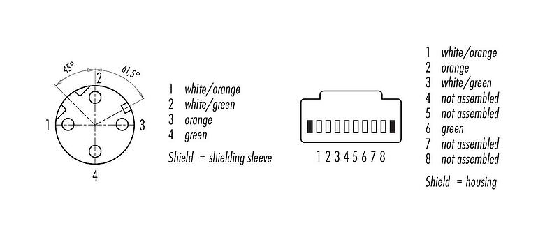 Disposition des contacts (Côté plug-in) M12/RJ45 Câble de raccordement connecteur femelle - connecteur RJ45, Contacts: 4, blindé, moulé/sertissage, IP67, Ethernet CAT5e, TPE, bleu/vert, 2 x 2 x AWG 24, 1 m