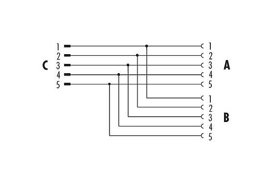 Pin assignment plans M12 Twin distributors Y-distributor, male connector - 2 female connector, Contacts: 5, unshielded, pluggable, IP68, UL 2238