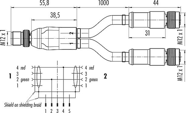 Dessin coté M12 Répartiteur de câbles connecteur mâle - 2 connecteurs femelle, Contacts: 2, blindé, surmoulé sur le câble, IP67, Profibus, PUR, violet, 2 x 0.25 mm², 2 m