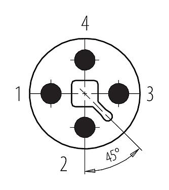 Disposición de los contactos (lado de la conexión) 99 0629 19 04 - M12 Conector de cable macho, Número de contactos: 4, 8,0-10,0 mm, sin blindaje, tornillo extraíble, IP67, UL 2238, VDE