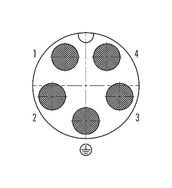 Disposición de los contactos (lado de la conexión) Bayoneta Conector de cable macho, Número de contactos: 4+PE, 7,0-17,0 mm, sin blindaje, crimpado (los contactos de crimpado deben pedirse por separado), IP68/IP69K, UL 2238, VDE, UV-Beständig