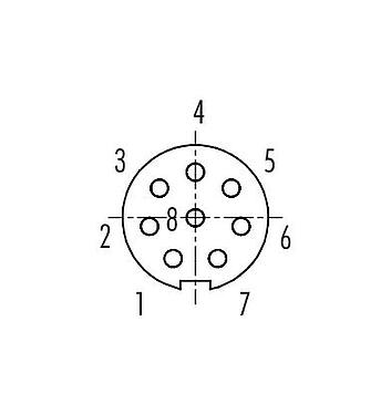 Contact arrangement (Plug-in side) Bayonet Female panel mount connector, Contacts: 8, unshielded, solder, IP40, M10x0.75, Front mounting