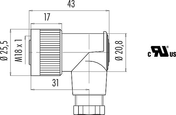 Dibujo a escala M18 Conector hembra en ángulo, Número de contactos: 4, 6,5-8,0 mm, sin blindaje, tornillo extraíble, IP67, UL