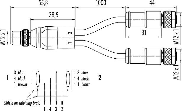 Scale drawing M12 Male cable splitter - 2 female cable connectors, Contacts: 4/3, shielded, moulded on the cable, IP68, PUR, black, 3 x 0.34 mm², 2 m