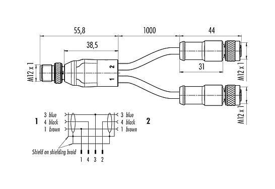 Scale drawing M12 Male cable splitter - 2 female cable connectors, Contacts: 4/3, shielded, moulded on the cable, IP68, PUR, black, 3 x 0.34 mm², 2 m