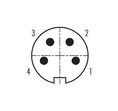 Disposición de los contactos (lado de la conexión) 99 0611 00 04 - Bayoneta Enchufe de brida, Número de contactos: 4, sin blindaje, soldadura, IP40