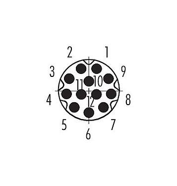 Contact arrangement (Plug-in side) 86 6119 1100 00012 - M8 Male panel mount connector, Contacts: 12, unshielded, THT, IP67, UL 2238, screwable from the front