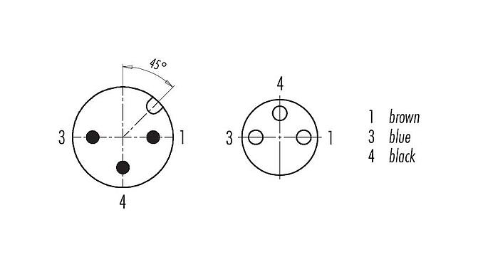 Disposition des contacts (Côté plug-in) 77 3429 3406 20003-0300 - M12 Connecteur mâle - connecteur femelle M8x1, Contacts: 3, non blindé, surmoulé sur le câble, IP67, UL, PVC, gris, 3 x 0,34 mm², 3 m
