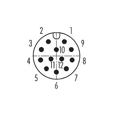Disposition des contacts (Côté plug-in) 99 1491 822 12 - M12 Connecteur mâle coudé, Contacts: 12, 6,0-8,0 mm, blindable, souder, IP67, UL