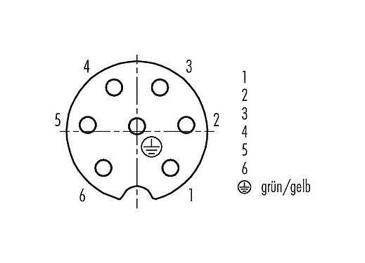 Contact arrangement (Plug-in side) RD24 Female cable connector, Contacts: 6+PE, unshielded, moulded on the cable, IP67, PVC, black, 7 x 0.75 mm², 7 m