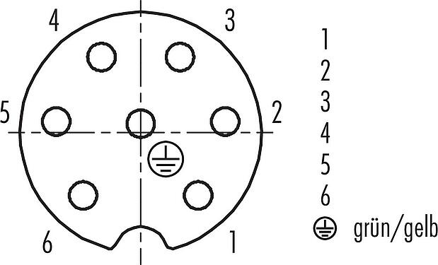 Contact arrangement (Plug-in side) RD24 Female cable connector, Contacts: 6+PE, unshielded, moulded on the cable, IP67, PVC, black, 7 x 0.75 mm², 7 m