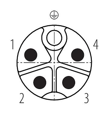 Disposition des contacts (Côté plug-in) M12 Connecteur mâle coudé, Contacts: 4+PE, 8,0-13,0 mm, non blindé, pince à visser, IP67, UL 2237 en préparation, avec connexion PE