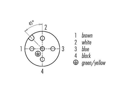 Contact arrangement (Plug-in side) 77 3430 0000 80005-1000 - M12 Female cable connector, Contacts: 5, unshielded, moulded on the cable, IP69K, UL 2238, PUR, orange, 5 x 0.34 mm², for welding applications, 10 m