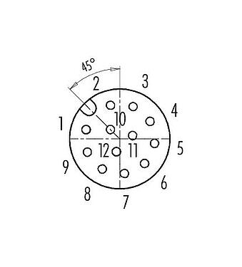 Disposition des contacts (Côté plug-in) M12 Embase femelle, Contacts: 12, non blindé, THT, IP68, PG 9, Montage mural arrière, coulé
