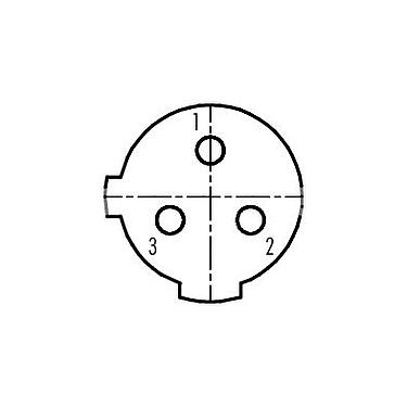 Disposición de los contactos (lado de la conexión) 99 2430 52 03 - 1/2 UNF Conector hembra en ángulo, Número de contactos: 2+PE, 6,0-8,0 mm, sin blindaje, tornillo extraíble, IP67, UL