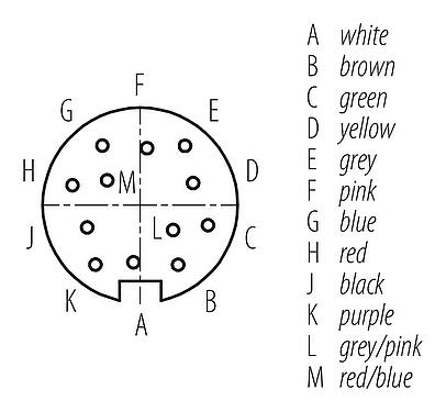 Contact arrangement (Plug-in side) M16 Female cable connector, Contacts: 12, unshielded, moulded on the cable, IP67, PUR, black, 12 x 0.25 mm², 2 m