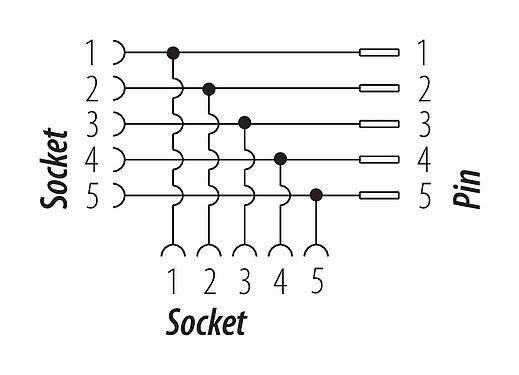 Schémas d’affectation des broches 7/8" Répartiteur double, Contacts: 5, non blindé, IP68