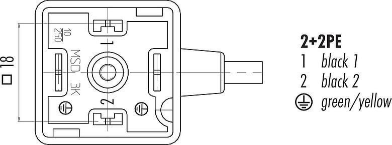Disposition des contacts (Côté plug-in) Douille d'électrovanne, Contacts: 2+2PE, non blindé, surmoulé sur le câble, IP67, PUR, noir, Circuit Z20, avec LED, PNP, 5 m