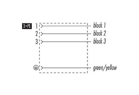 Pin assignment plans Female solenoid valve connector, Contacts: 3+PE, unshielded, moulded on the cable, IP67, PUR, black, 5 m