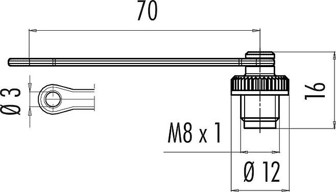 Dibujo a escala Tapa protectora, IP67, con correa de sujeción