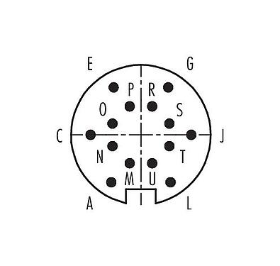 Contact arrangement (Plug-in side) Push Pull Male cable connector, Contacts: 14, 4.0-8.0 mm, shieldable, solder, IP67