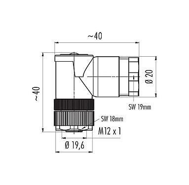 Scale drawing 99 0430 162 04 - M12 Male duo connector - female angled connector, Contacts: 4, 2x cable Ø 2.1-3.0 mm or Ø 4.0-5.0 mm, unshielded, screw clamp, IP67