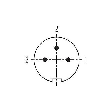 Disposition des contacts (Côté plug-in) 99 0405 00 03 - M9 Connecteur mâle, Contacts: 3, 3,5-5,0 mm, non blindé, souder, IP67