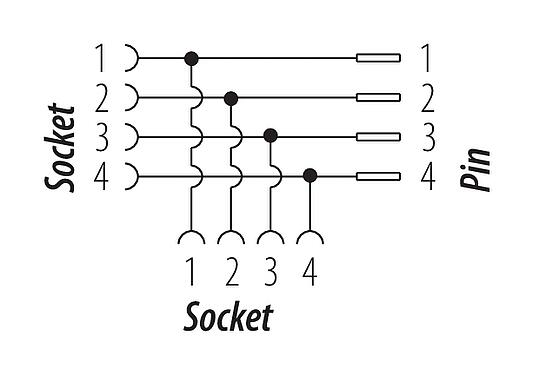 Pin assignment plans 7/8" Twin distributor, Contacts: 4, unshielded, IP68