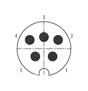 Disposition des contacts (Côté plug-in) Baïonnette Connecteur mâle, Contacts: 5, 5,0-8,0 mm, blindable, souder, IP40
