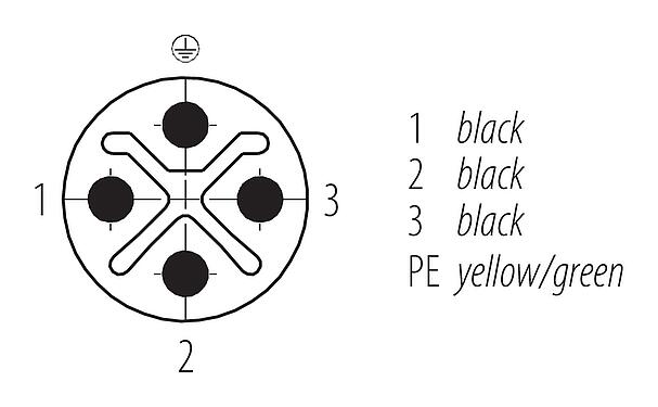 Contact arrangement (Plug-in side) 77 0690 0689 50704-0500 - M12/M12 Connecting cable male cable connector - female cable connector, Contacts: 3+PE, unshielded, moulded on the cable, IP68, M12x1.0, PUR, black, 4 x 1.50 mm², 5 m