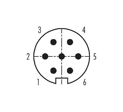 Disposición de los contactos (lado de la conexión) 99 0621 02 07 - Bayoneta Conector de cable macho, Número de contactos: 7, 6,0-8,0 mm, sin blindaje, soldadura, IP40
