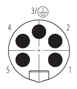 Disposition des contacts (Côté plug-in) 7/8" Connecteur mâle, Contacts: 4+PE, 10,0-12,0 mm, non blindé, pince à visser, IP67, UL 2238, VDE