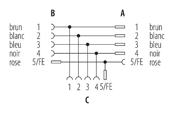 Schémas d’affectation des broches M12 Répartiteur double, T-distributeur, mâle - 2 femelle, Contacts: 4+FE, non blindé, IP65, M12x1,0