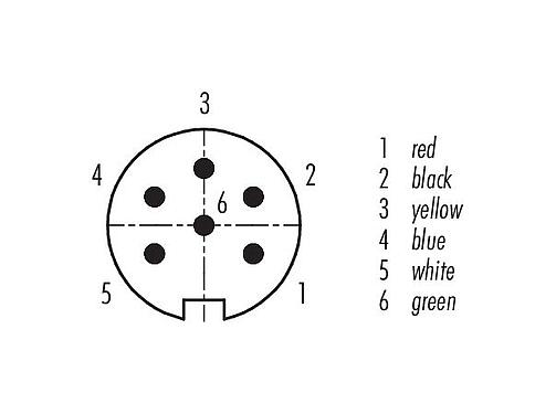 Disposition des contacts (Côté plug-in) 79 6317 200 06 - M16 Connecteur mâle coudé, Contacts: 6 (06-a), blindé, surmoulé sur le câble, IP67, PUR, noir, 6 x 0,25 mm², 2 m