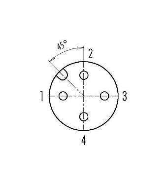Disposition des contacts (Côté plug-in) 99 0430 142 04 - M12 Duo-connecteur femelle, Contacts: 4, 2 x câble Ø 2,1-3,0 mm ou Ø 4,0-5,0 mm, non blindé, pince à visser, IP67, UL