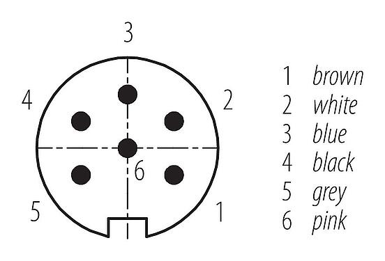 Disposition des contacts (Côté plug-in) M16 Connecteur mâle, Contacts: 6, non blindé, surmoulé sur le câble, IP67, PUR, noir, 6 x 0,25 mm², 5 m