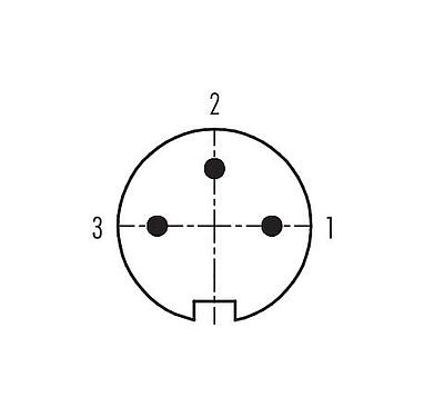 Disposition des contacts (Côté plug-in) 99 0605 72 03 - Baïonnette Connecteur mâle coudé, Contacts: 3, 6,0-8,0 mm, non blindé, souder, IP40