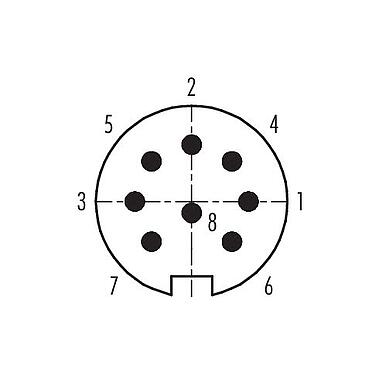 Disposición de los contactos (lado de la conexión) 99 4829 00 08 - Push Pull Conector de cable macho, Número de contactos: 8, 4,0-8,0 mm, blindable, soldadura, IP67