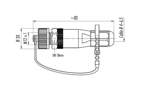 Scale drawing M12 Male cable connector, Contacts: 4, 4.0-6.5 mm, unshielded, screw clamp, IP68/IP69K, for outdoor, UV resistant