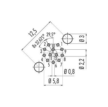 Conductor layout 86 0231 0100 00012 - M12 Male panel mount connector, Contacts: 12, unshielded, THT, IP68, UL, M16x1.5
