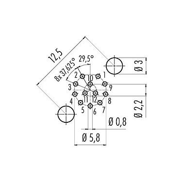 Conductor layout 86 0531 1120 00012 - M12 Male panel mount connector, Contacts: 12, shieldable, THT, IP68, UL 2238, PG 9, rear mounting