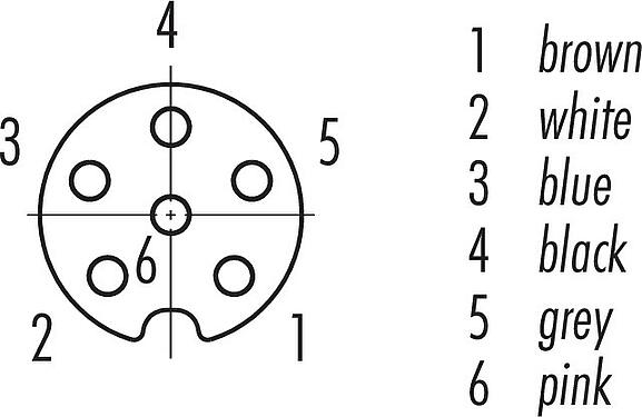 Disposition des contacts (Côté plug-in) M8 Connecteur femelle, Contacts: 6, non blindé, surmoulé sur le câble, IP67/IP69K, UL 2238, PUR, noir, 6 x 0,25 mm², Acier inoxydable, 5 m